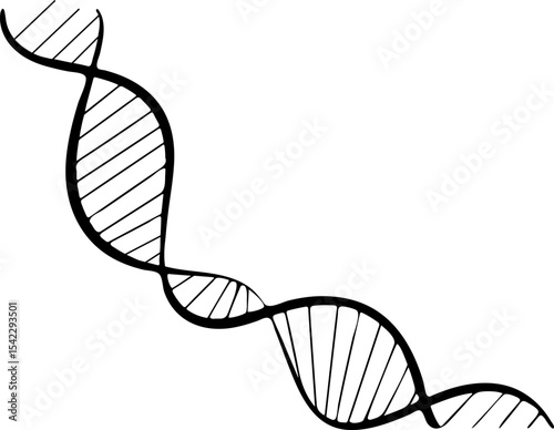  DNA Double Helix Outline