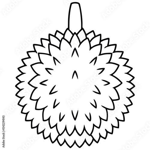 Isolated durian fruit illustration on white background