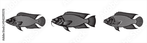 tilapia fish vector set illustration on white background. tilapia fish icon silhouette vector.