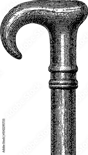 Vintage walking cane in engraving and pencil sketch style for antique design