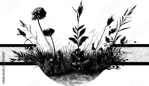 Vintage engraving style of wild grass and reed border for classic nature design