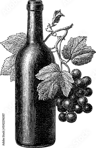 Vintage wine and grape composition with elegant border for design