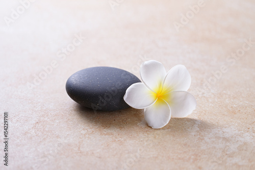 Serene Spa Still Life Smooth Gray Stone and Delicate White Plumeria Flower