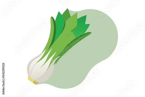 Leek Vector Isolated On Background