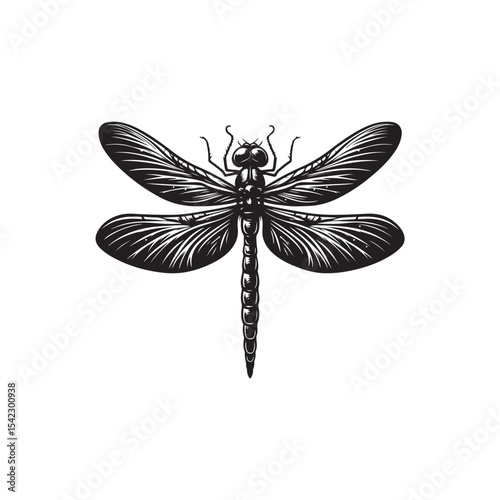 Dragonfly Vector (2).eps