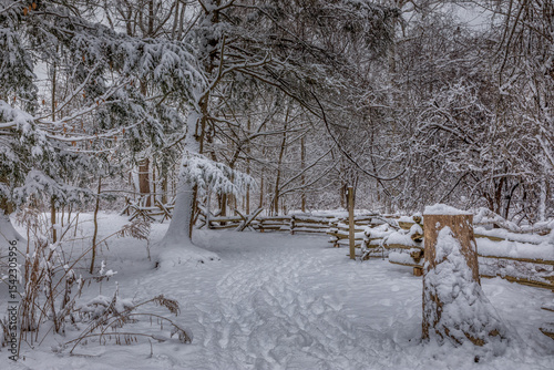 Winter Trails
