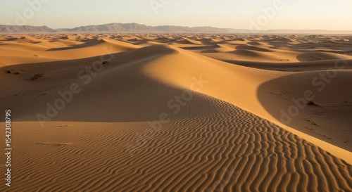 Arid Sand Dunes in the Desert Landscape at Sunrise