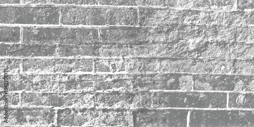 Aged and cracked wall surface, offering a detailed study of material degradation and natural wear.
