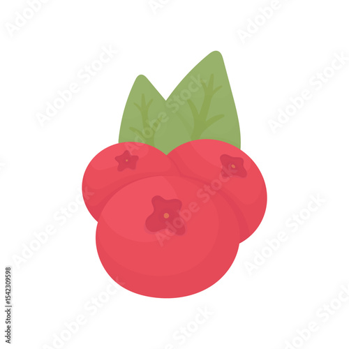 Three cranberries with green leaves. Ripe wild berries. Healthy nutrition