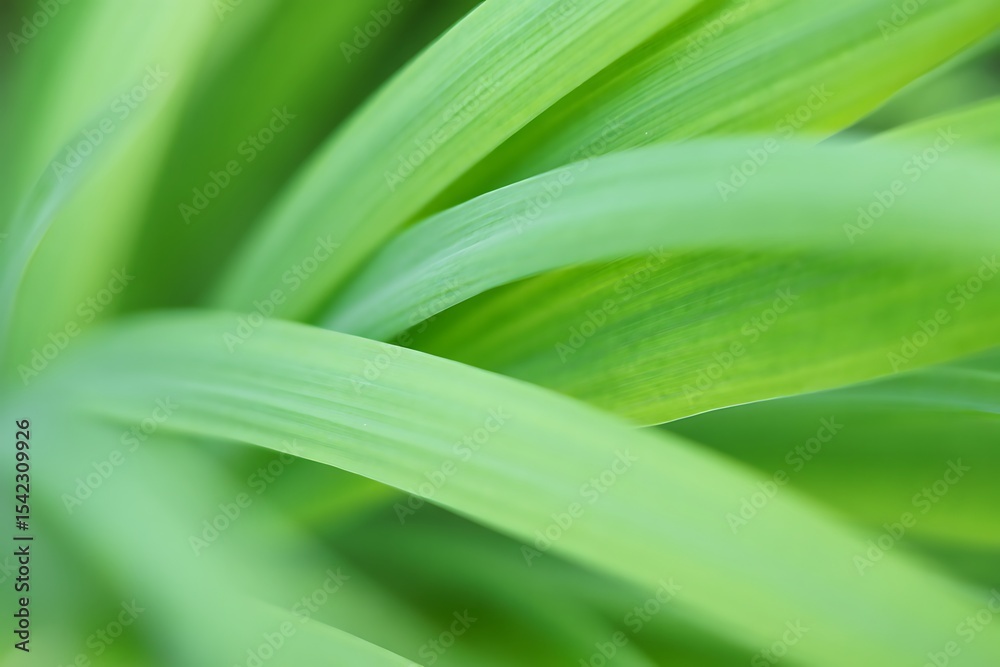 Vibrant Green Blades of Grass Nature Background Texture Perfect for Eco Designs and Spring Themes Botanical Wallpaper Vibrant Green Blades of Grass Nature Background Texture Perfect for Eco Designs and Spring Themes Botanical Wallpaper