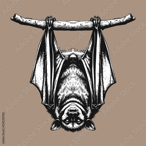 Stylized  Silhouette Bat Hanging Upside Down on Branch  vector Illustration 