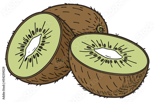 Juicy Green Kiwi Drawing on White Background