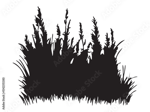 Black silhouette of wild grass and plants isolated on white background, botanical illustration. concept of nature, garden design, landscaping, floral art, outdoor decor.