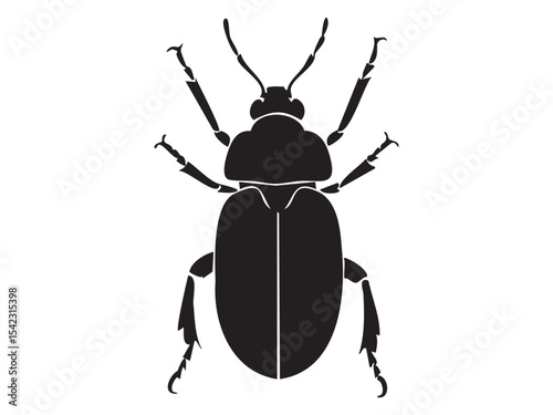 Black silhouette of beetle insect isolated on white background, graphic illustration. concept of bug, entomology, nature, icon, logo, design element, educational material.