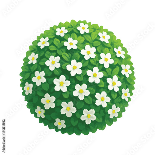Bright blooming floral shrubs in circular shape ideal for landscaping and botanical graphics.