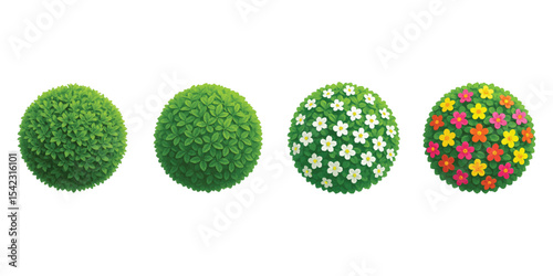 Collection of round green and flowering bushes for landscape and garden decoration.