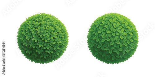 Lush green plant ball graphic used for garden planning, urban design and natural decoration.