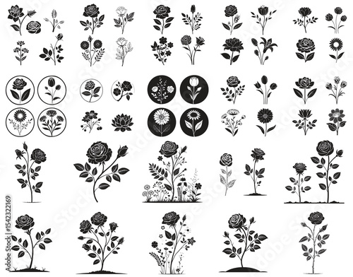 Beautiful Blooming Flower Icons. Set of Stylized Floral Graphics. Decorative Rose and Garden Plant isolated on white background