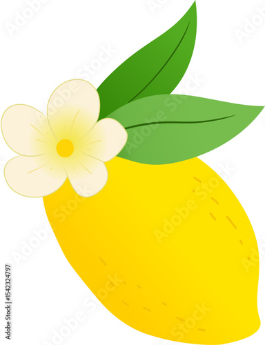 fresh lemon with flower and leaves