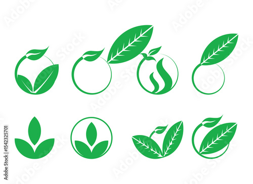 Green leaf icons set. Leaves icon on isolated background. Collection green leaf. Elements design for natural, eco, vegan, bio labels. Vector illustration