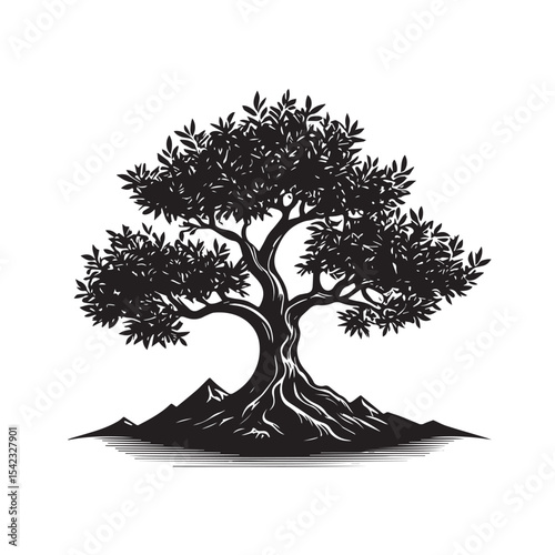 Big Olive tree in mountain line art design isolated on white background