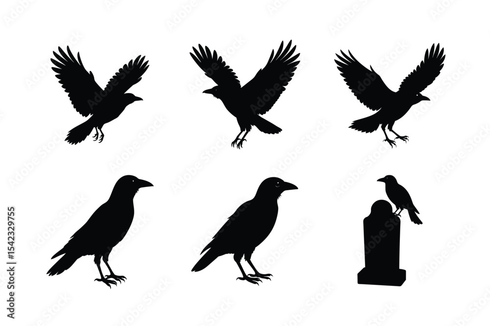Fototapeta premium Crow different activities silhouette bundle