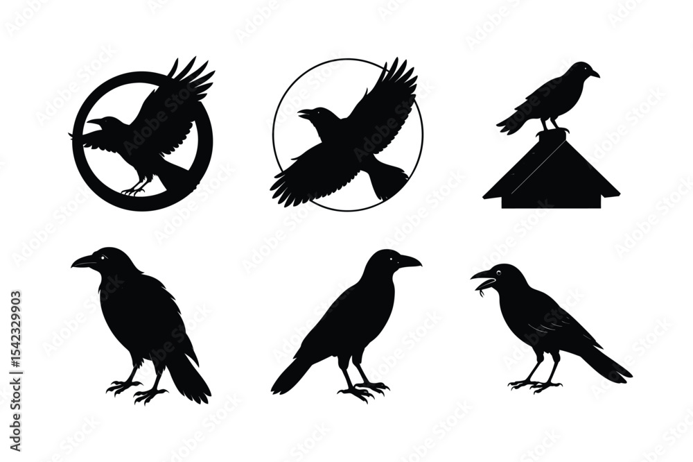 Fototapeta premium Crow different activities silhouette bundle 