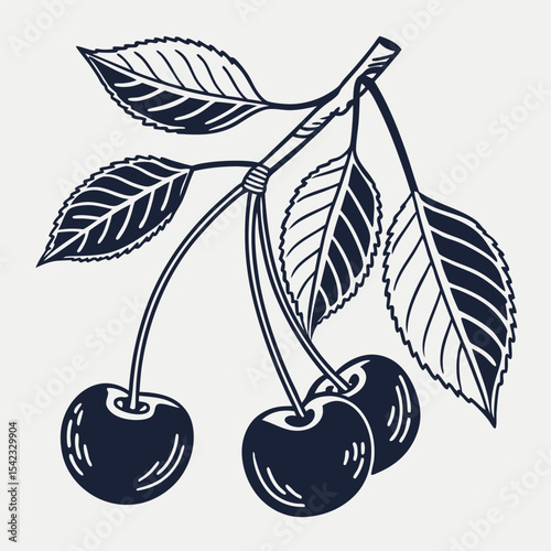 "Pair of cherries with leaves silhouette"