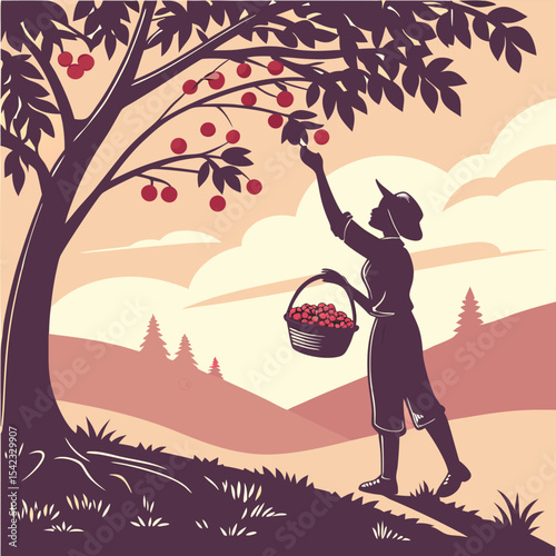 "Person picking cherries from tree silhouette"