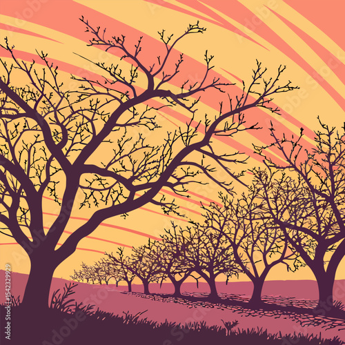 Sunrise over cherry orchard silhouette"