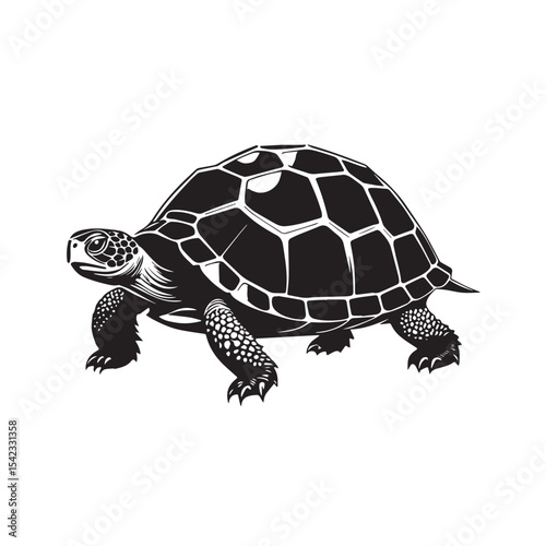 Minimalist turtle or tortoise design 