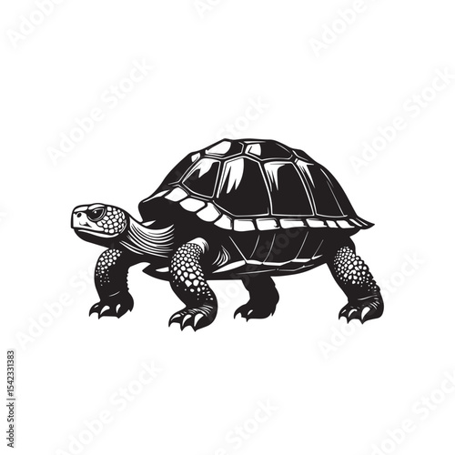 Minimalist turtle or tortoise design 