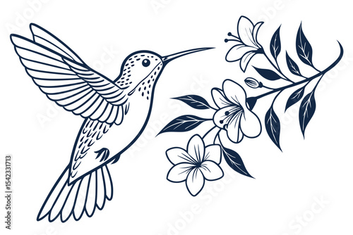 Flying Hummingbird with Graceful Wings
