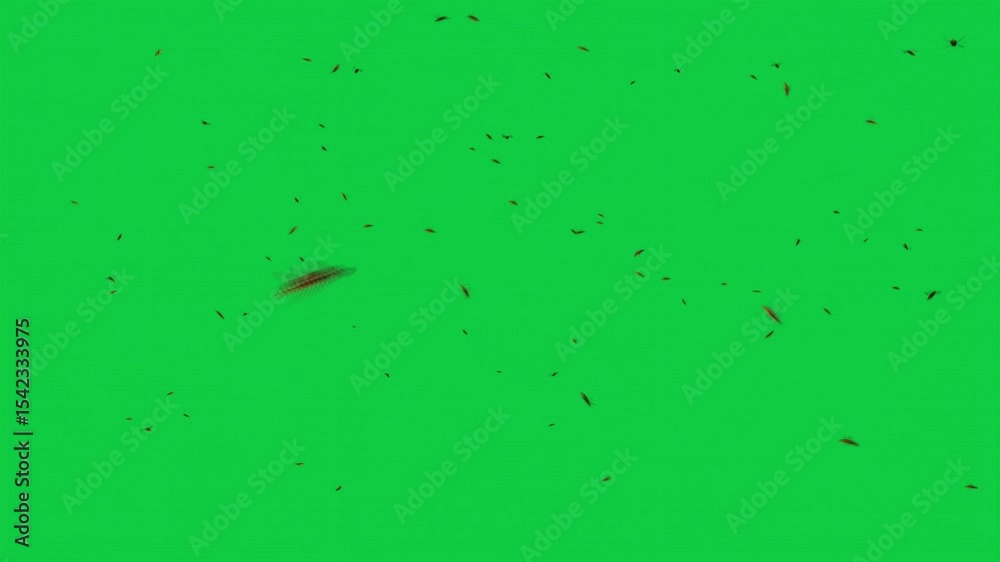 Bee Swarm Flying Toward Camera – Green Screen 3D Animation – Insects Overlay Element