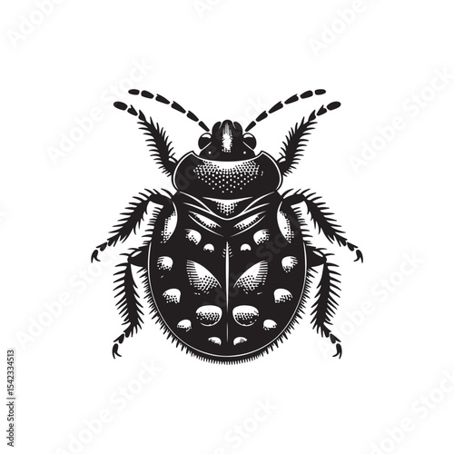 Bed Bug Vector (1).eps