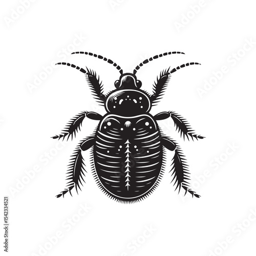 Bed Bug Vector (2).eps