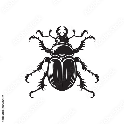 Beetle Vector (4).eps