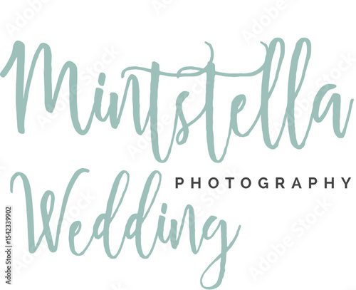 New Premade Logo – Minimal & Professional Branding Design for Businesses and Creators