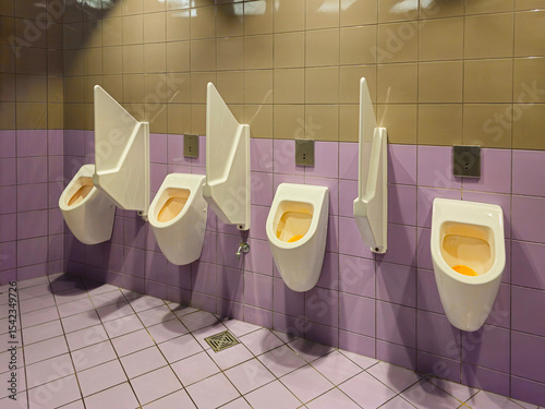 Interior of a bathroom with toilets. Design of sanitary facilities for personal care. Personal hygiene in public places. Ceramic products in everyday life.