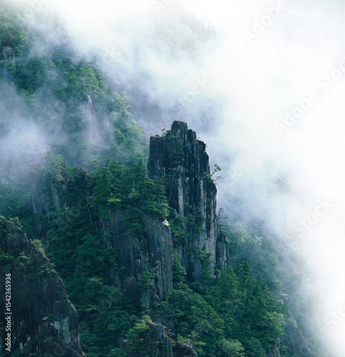 Dramatic mountain peaks and lush greenery covered by fog png for creative projects
