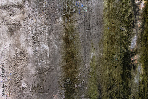 Pared con moho  photo
