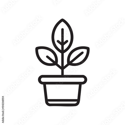Decorative plant in a minimalistic pot for home decor projects