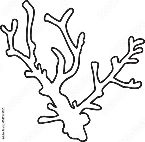 Coral outline vector illustration Hand-drawn art line Great for coloring book, greeting cards, educational material, kids party invitations