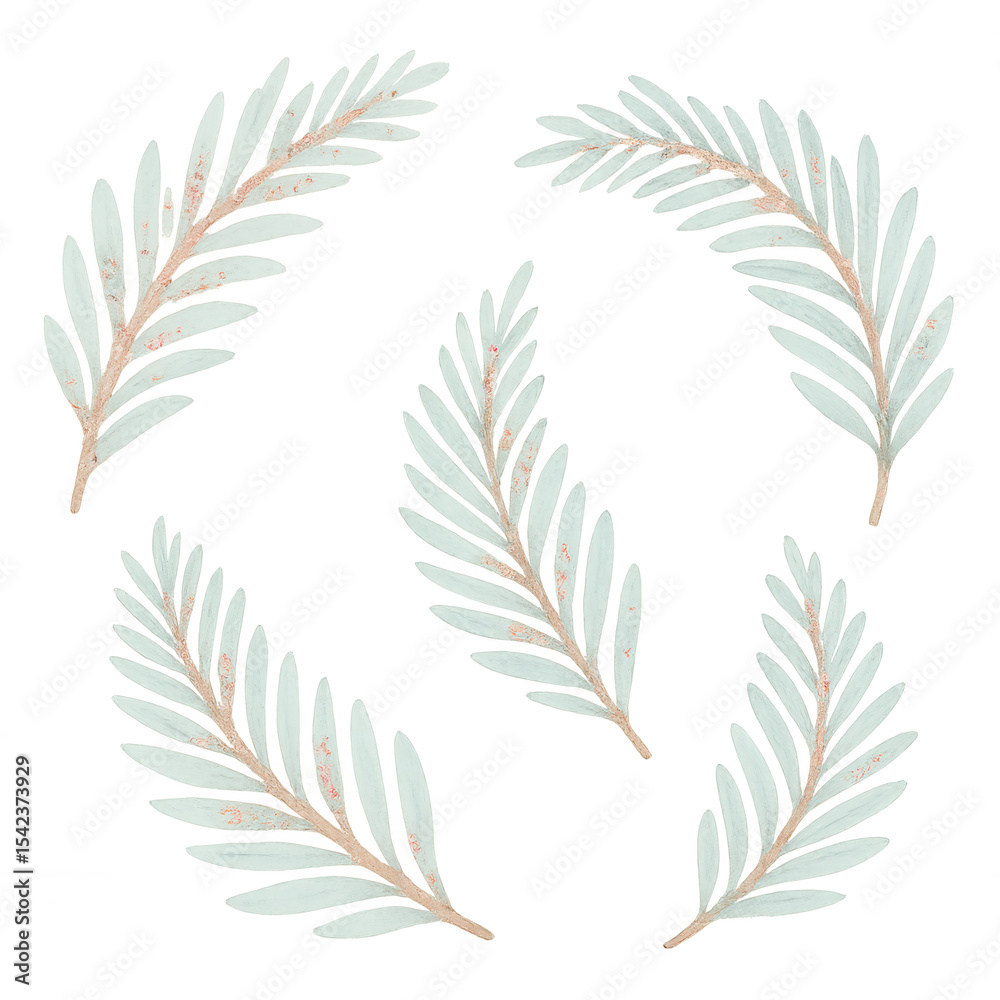 Five delicate green leaves arranged in a circular pattern on a black background. The leaves have a soft texture and a light green hue. Five delicate green leaves arranged in a circular pattern on a black background. The leaves have a soft texture and a light green hue.
