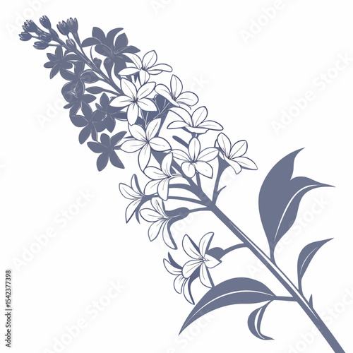 abstract floral background with white lilac flowers