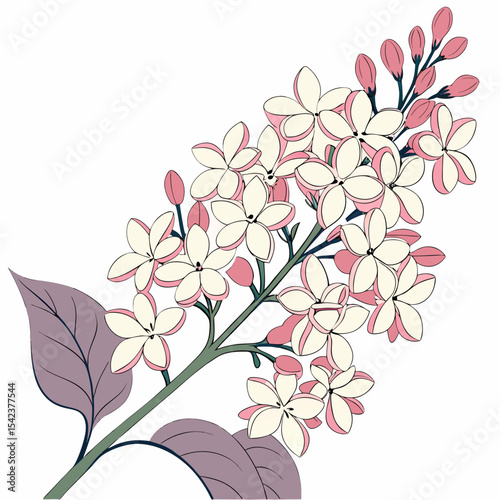 floral background with white lilac flowers
