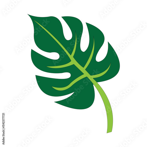 monstera leaf icon illustration design template