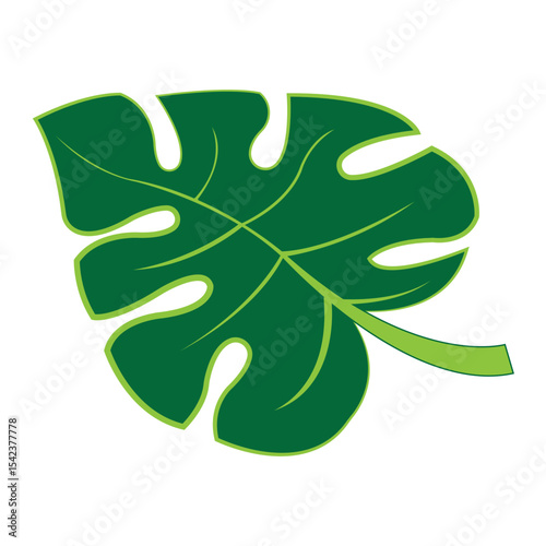 monstera leaf icon illustration design template