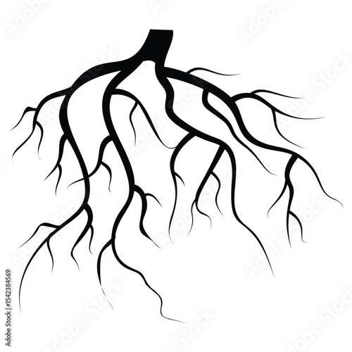 black root illustration vector isloated on a white background