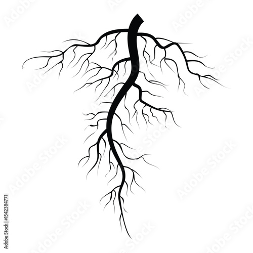 long black root illustration vector isloated on a white background